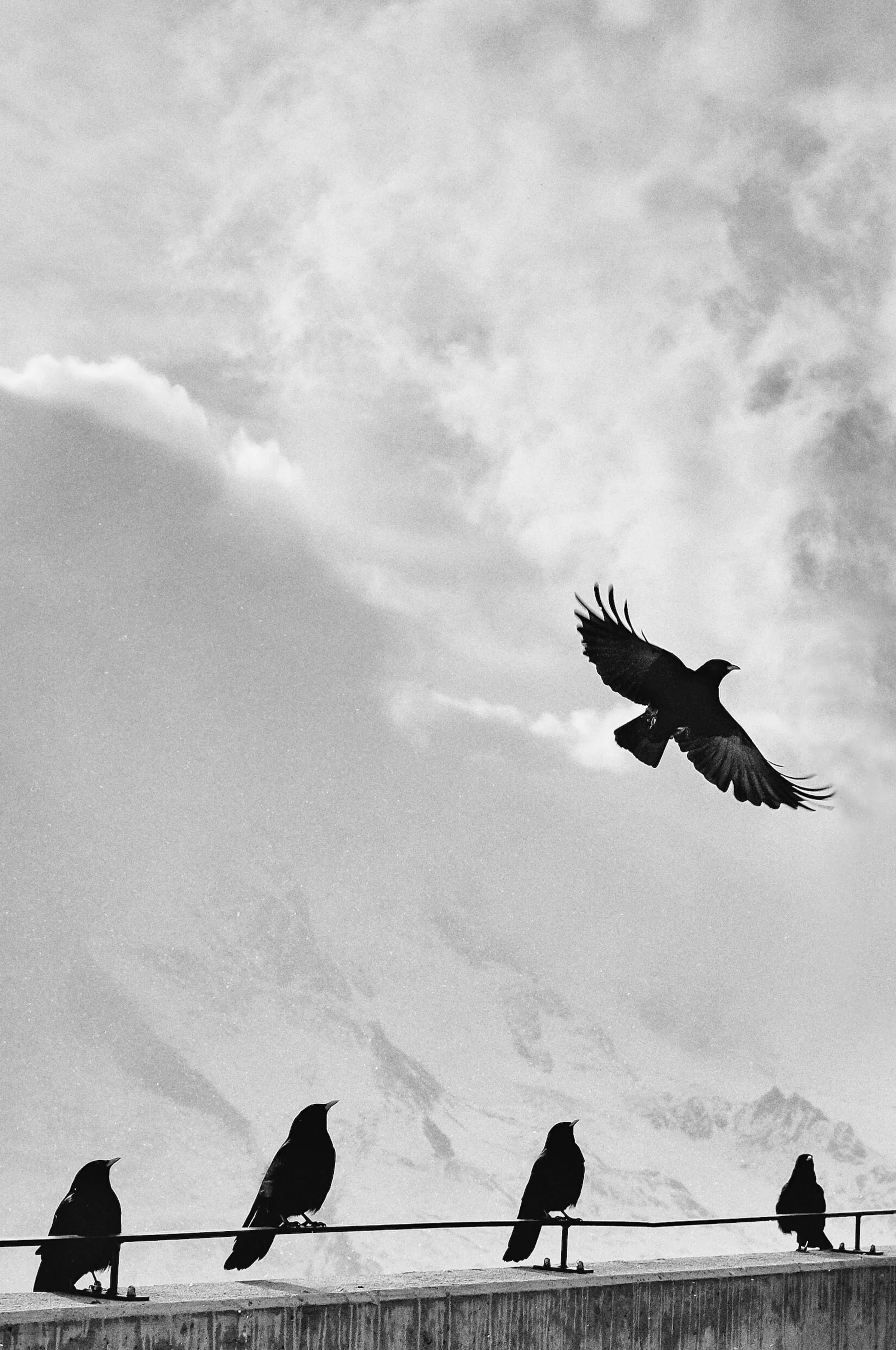Crows perched on a rail with one taking flight against a bright, clouded sky.